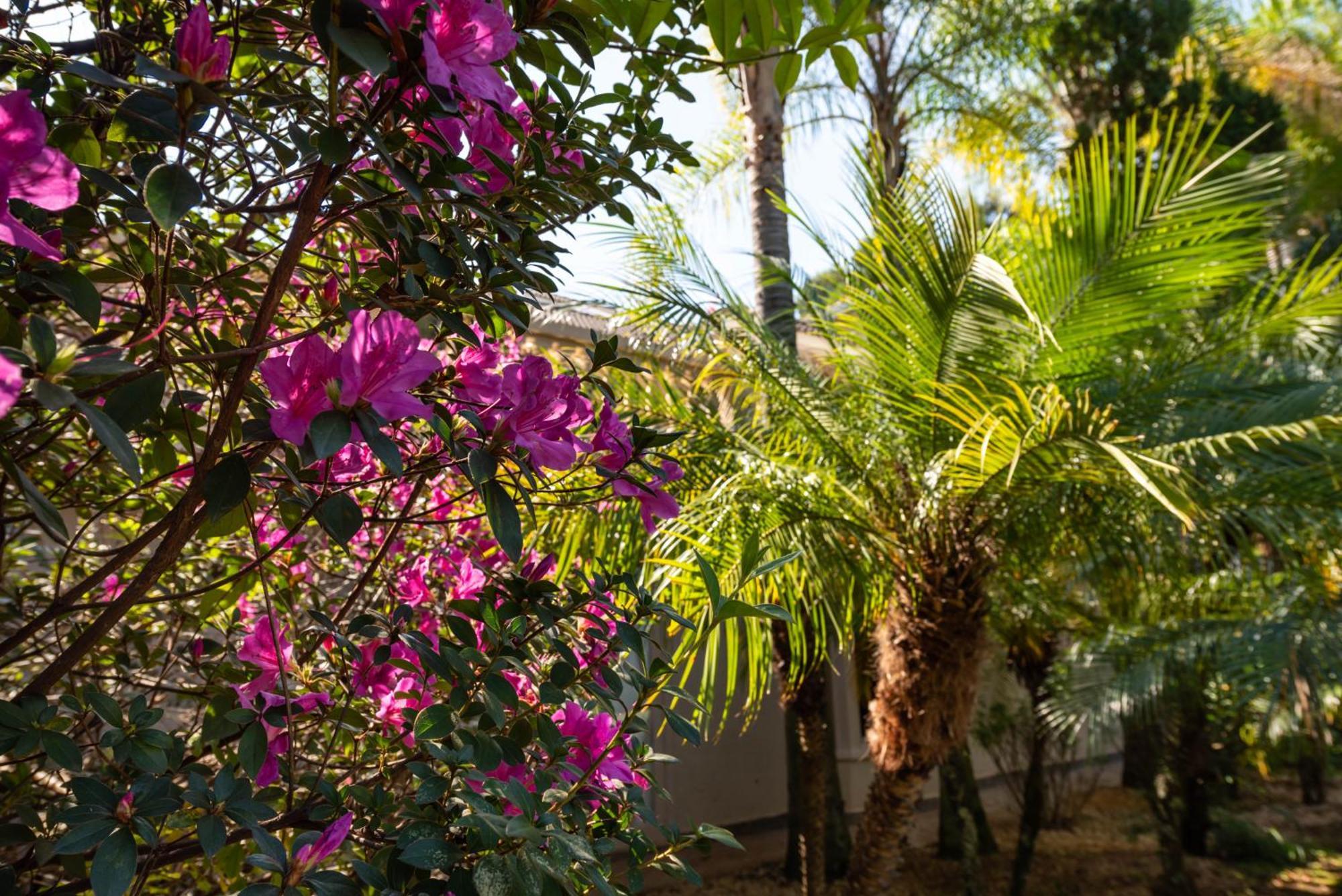 Fazenda Vila Real - Grande E Charmosa Casa De Campo Иту Екстериор снимка